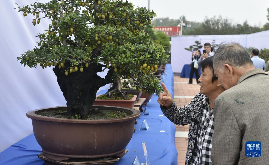 百人牛牛单机游戏